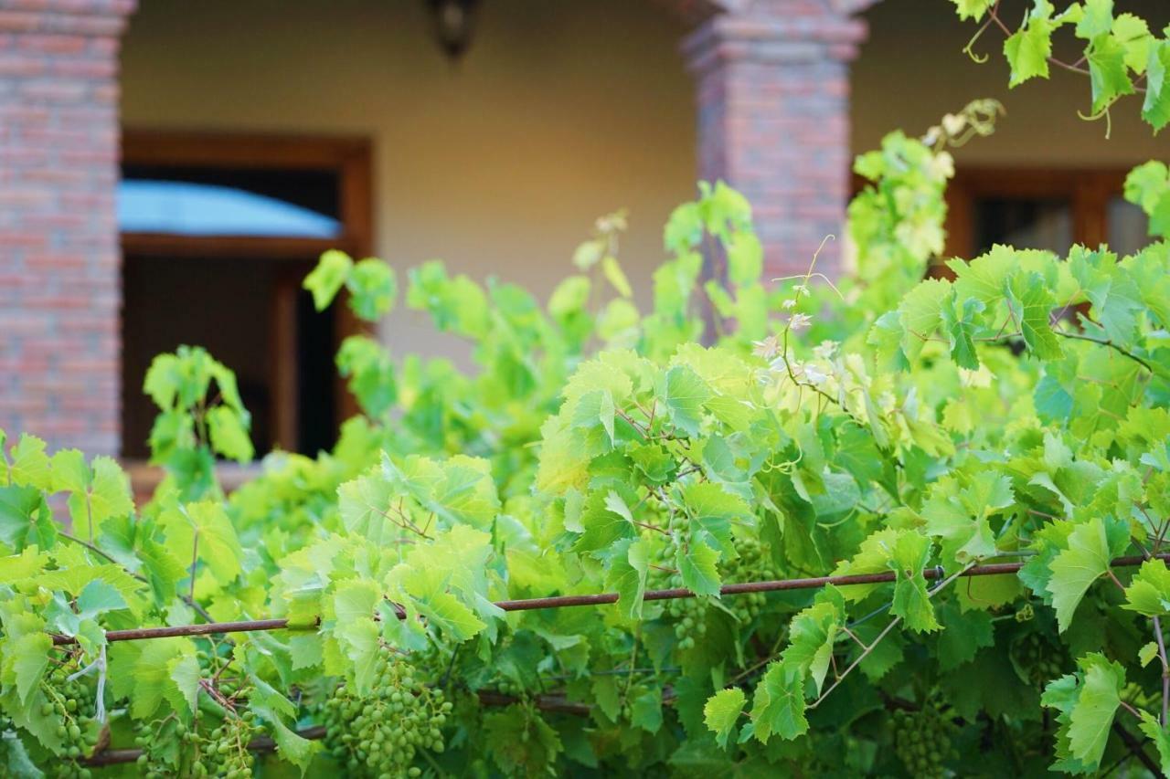Hotel Magdalena Mtsʼkhetʼa Dış mekan fotoğraf
